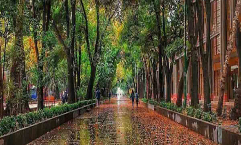 آشنایی با خیابان چهار باغ عباسی اصفهان برای دیدن در شب