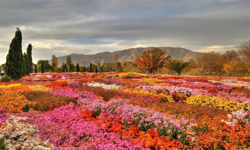 باغ گیاه شناسی تهران