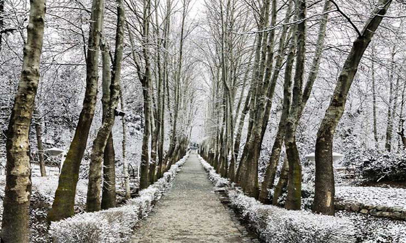 بوستان جمشیدیه