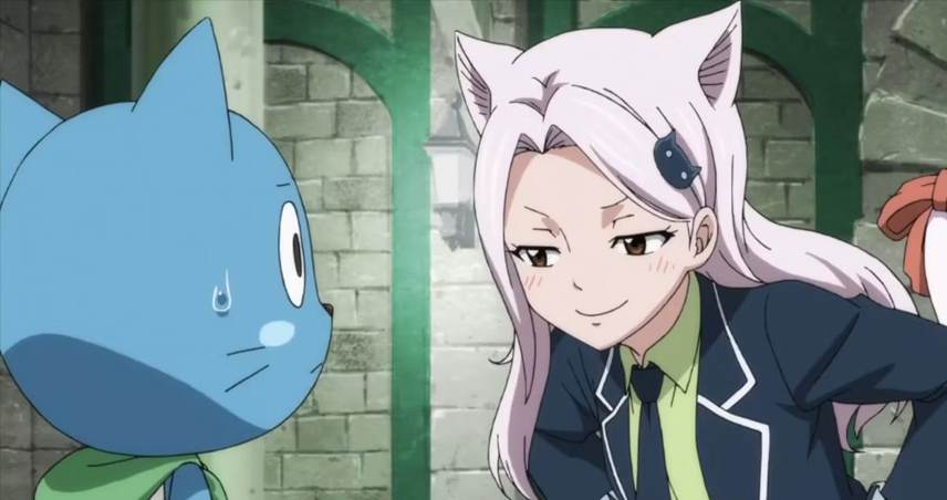 ژانر انیمه Fairy Tail